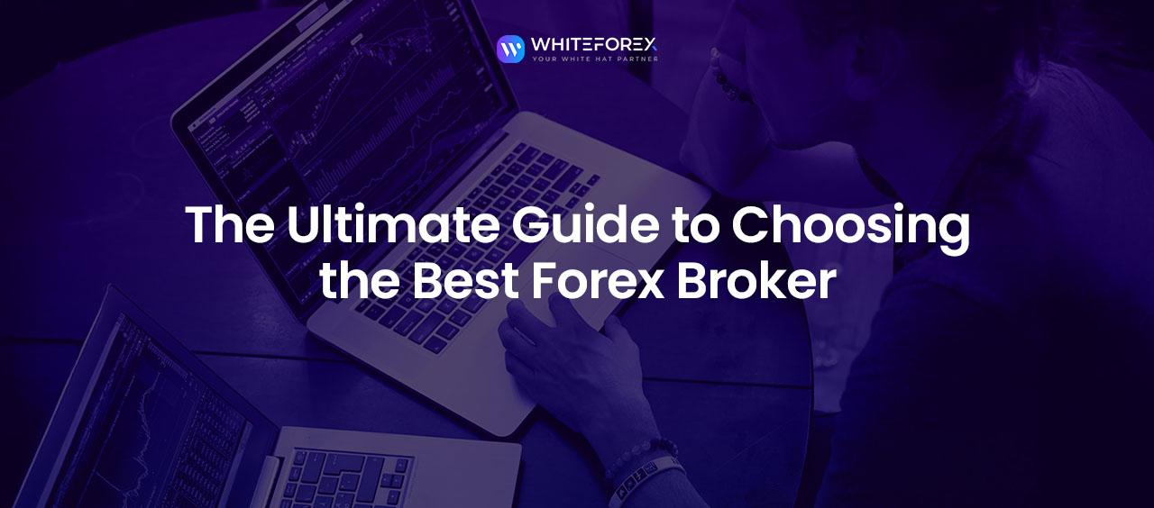 Step-by-Step Guide to Selecting Your Ideal Forex Broker