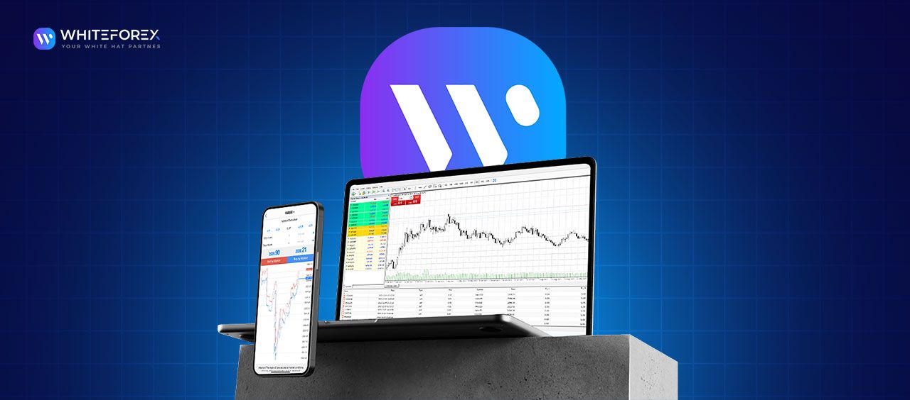 The Best Forex Trading Platform